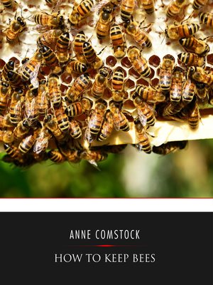 cover image of How to Keep Bees